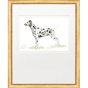 KS- HUNTING DOG 11
